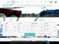Podgląd https://bofort.pl