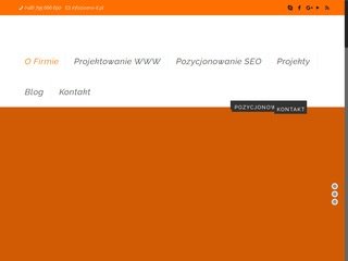 Podgląd servi-it.pl