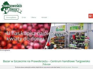 Podgląd targowiskozdroje.pl