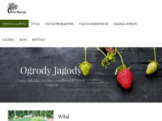 Podgląd ogrodyjagody.pl