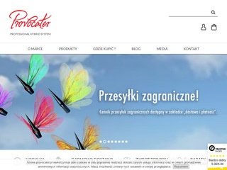 Podgląd provocater.pl
