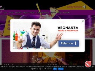 Podgląd mobilnibarmani.pl