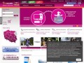 Podgląd twojesoczewki.com