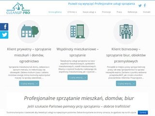 Podgląd cleanup-pro.pl