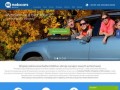 Podgląd https://www.mobicars.pl