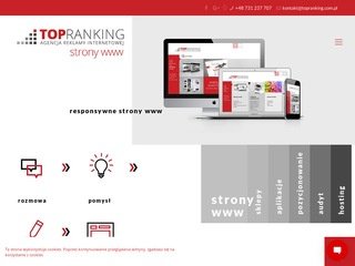 Podgląd strony-www.torun.pl