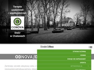 Podgląd terapiauzaleznien.help