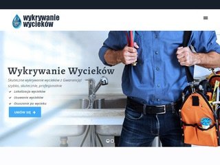 Miniaturka wykrywaniewyciekow.com.pl
