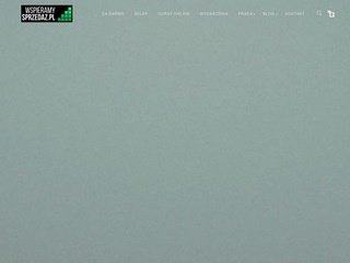 Podgląd https://wspieramysprzedaz.pl
