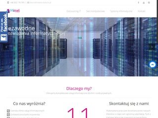 Miniaturka mittelsolutions.pl
