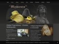 Podgląd https://www.memento-zop.pl