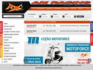 Podgląd amracing.pl