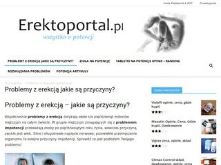 Podgląd erektoportal.pl