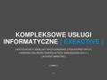 Podgląd exeactive.pl