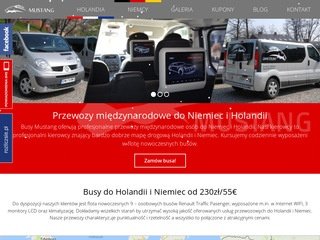 Podgląd https://busymustang.pl