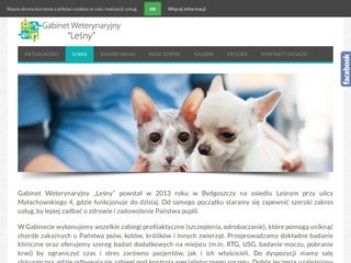 Podgląd gabinet-lesny.pl