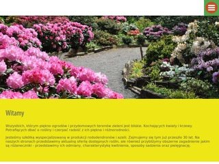 Podgląd rododendrony.com.pl
