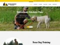 Podgląd focusdog.pl