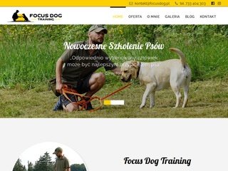 Podgląd focusdog.pl