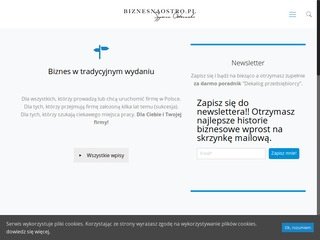 Podgląd biznesnaostro.pl