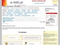 Podgląd e-ang.pl