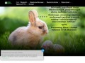 Podgląd pttk.com.pl