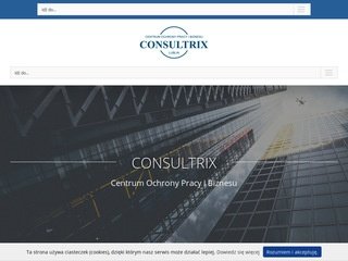 Podgląd consultrix.pl