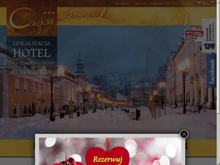 Podgląd caspar.pl