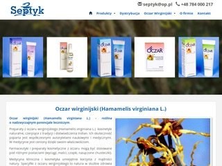 Podgląd septyk.eu