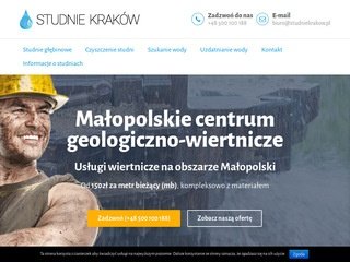 Podgląd https://studniekrakow.pl