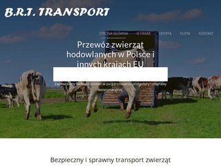 Miniaturka brt-transport.pl