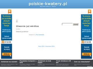 Podgląd polskie-kwatery.pl