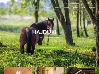 Podgląd hajduki.info