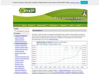 Miniaturka xinxin.pl