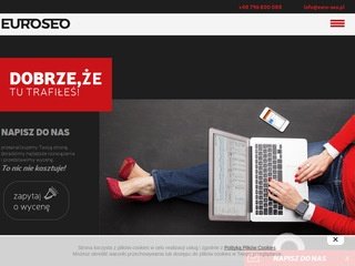 Podgląd euro-seo.pl