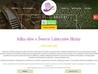 Podgląd swiatlabiryntow.pl