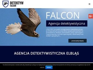 Podgląd detektywfalcon.pl