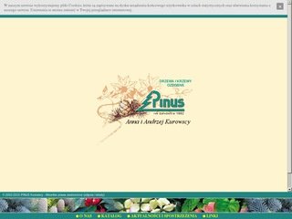 Miniaturka pinus.net.pl