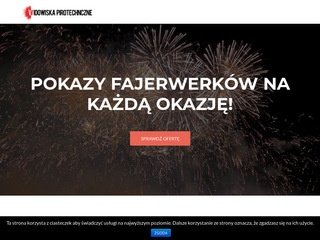 Podgląd pokazfajerwerki.pl