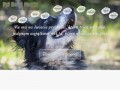 Podgląd https://psihotelmorris.pl