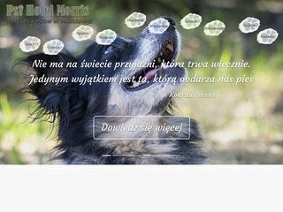 Podgląd https://psihotelmorris.pl