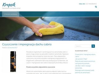 Podgląd kropsik.com.pl