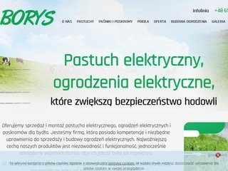 Miniaturka pastuchyborys.pl