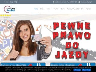 Miniaturka palgan.pl