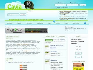 Podgląd cavia.vel.pl