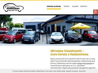 Podgląd serwis-nowakowski.pl