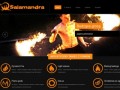 Podgląd firedancers.pl