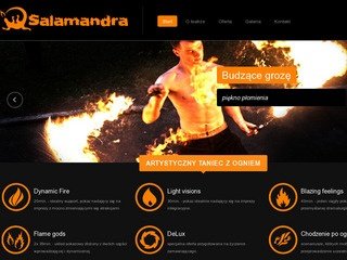 Podgląd firedancers.pl