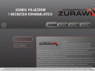 Podgląd konserwacjazurawi.pl