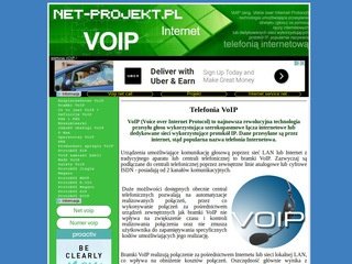Podgląd net-projekt.pl